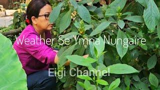 Yamna Su Sare, Enshang Su Ymna  Hekthare | My Quater Garden Vlog |  Quater Life | Manipuri |Meitei..