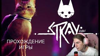 MONEYKEN ПРОХОДИТ ИГРУ STRAY/ ПОЛНЫЙ СТРИМ