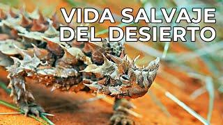 El Mundo Salvaje: Los Desiertos | Free Documentary Nature -  Español