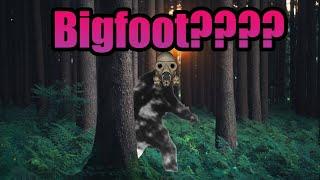 Very Real Bigfoot Sighting In S.T.A.L.K.E.R Anomaly