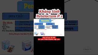 Kháng sinh nhóm betalactam | liều dùng kháng sinh betalactam | Y Dược TV