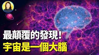 一個顛覆人類宇宙觀的驚人發現，暗示宇宙是高級生命的大腦！｜#信不信由你