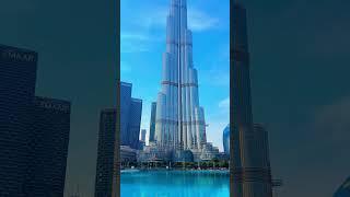Habibi come to Dubai #