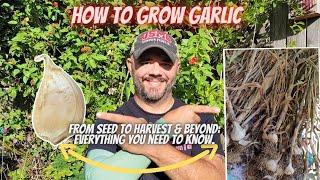 Garlic, The Complete Growers Guide || Down-Home Backyard Gardening