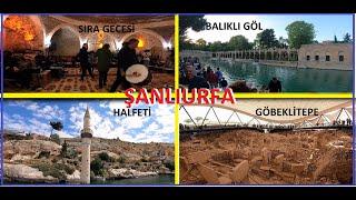 #GAP KÜLTÜR TURU.#GÖBEKLİ TEPE#HALFETİ #HARRAN#.BALIKLI GÖL#.KELAYNAK KUŞLARI#.ŞANLIURFA SIRA GECESİ