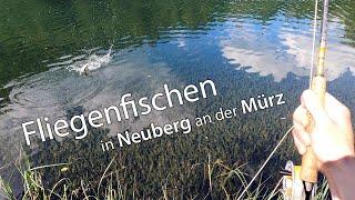 Fliegenfischen in der "kleinen Mur"  •  Die Mürz bei Neuberg