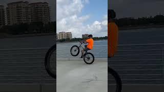 Fatbike wheelies