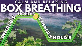 Guided Box Breathing for Anxiety (5-5-5-5)