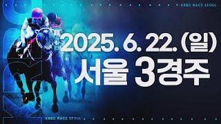 (서울) 2025.06.22 3경주