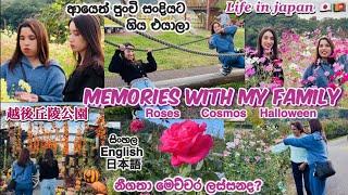 මගේ සතුටට එයාලගෙ සතුටහැමදාම ආදරෙන් Memories with my family|Life in japan |Day in my life ️