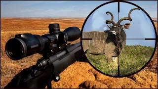 Best Kudu Hunts in Africa