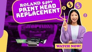 Roland SP 540v 300v PRINT HEAD replacement and ALIGNMENTS save money replace yourself! DX4 EPSON