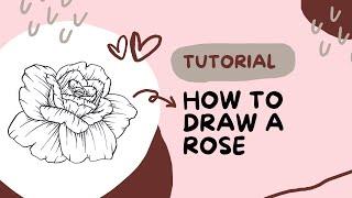 Learn how to DRAW FLOWERS: ROSE tutorial