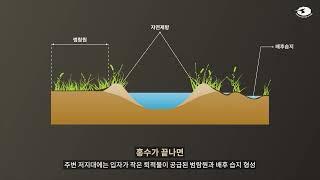 하천이 만든 지형과 지질 - 하천과 제방 - 그래픽