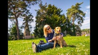 Visit Dogwestry - the best places to visit