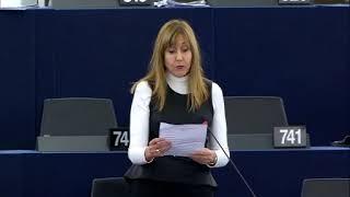 María Teresa Giménez Barbat 24 Oct 2018 plenary speech on recognition of diplomas