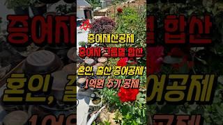 증여재산공제, 증여자 그룹별 합산, 혼인 출산 증여공제, 1억원