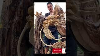 điêu khắc rồng đẳng cấp #shorts #xuhuong #dieukhac #thucongmynghe #phobien #dieukhac