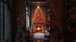 Merry Christmas Eve ️. #david.