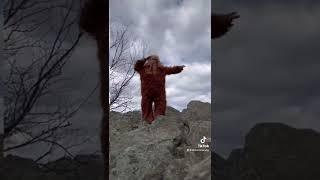 Bigfoot on Bearfence Mountain Shenandoah National Park Virginia