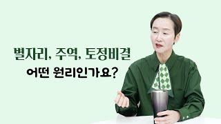 별자리, 주역, 토정비결~ 어떤 원리인가요?