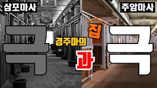 [경마] 마방 비교(리모델링 한 마사 VS 리모델링 하지 않은 마사)(환경이 성적을 만든다) #박수홍경마