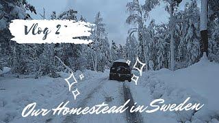 Winter Challenges // Our Homestead in Sweden vlog 2 // Maeryela