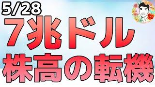機関投資家の過熱感はなし！７兆ドルの待機資金はどこへいく⁉【5/28 米国株ニュース】