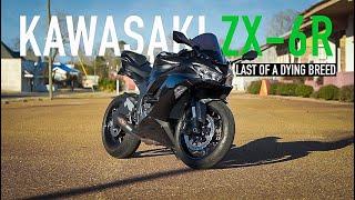 Last of its kind - KAWASAKI NINJA ZX6R