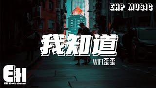 WiFi歪歪 - 我知道（原唱：By2）『我知道你還是愛著我，雖然 分開的理由我們都已接受。』【動態歌詞/Vietsub/Pinyin Lyrics】