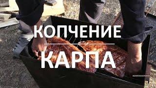 Замечательный рецепт горячего копчения. Ловим в пруду карпа, маринуем с кетчупом и коптим