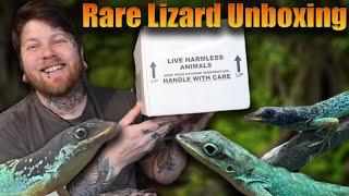 Unboxing Rare Reptiles You Haven't Seen Before