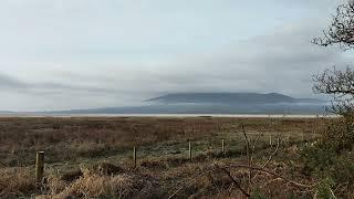 Nith Estuary, Scottish Borders, Dumfries and Galloway, Scotland, UK.