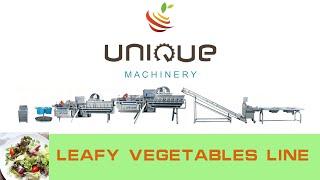 Salad processing line from UNIQUE MACHINERY