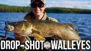 Drop-Shot like a PRO for HUGE Walleyes - NO LIVE BAIT!!