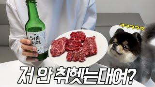 인생 첫 술 먹방