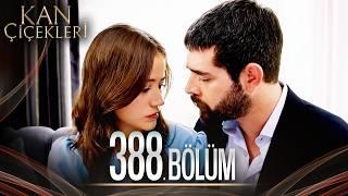 Kan Çiçekleri 388. Bölüm