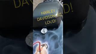 Loudest Harley Davidson Fatboy! #automobile #harley #harleydavidson