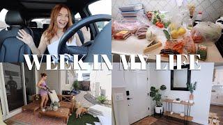 VLOG | Grocery Haul, Work Days, Cleaning + New House Things!