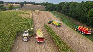 Mais hakselen / Claas Jaguar 990 / Egide London / 7x John Deere tractor