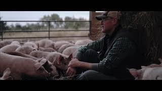 Niman Ranch Family Farmer: Steve Howe