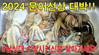 문어선상낚시(2024 금어기문어) 올해는 두족류 대박!!!