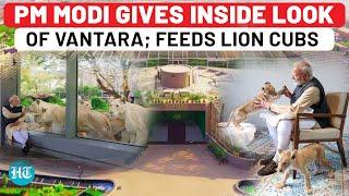 Vantara: PM Modi Inaugurates World’s Largest Wildlife Rehabilitation Centre, Gives Inside Look