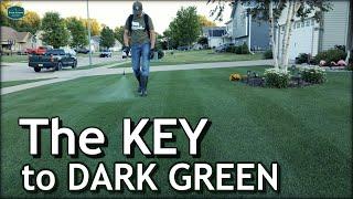 The Key to a DARK GREEN Lawn /// Let's Talk Micronutrients