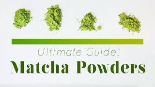 The Best, Affordable Matcha Powders | Matcha 101