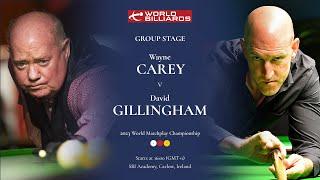 Wayne Carey vs David Gillingham | World Billiards Matchplay Championship 2023