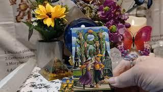 YOUR DAILY TAROT READING SURPRISE BLESSING YOUR WISH IS GRANTED