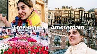 Tres días en Amsterdam | Laura Ubeda