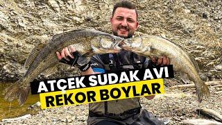 Atçek Sudak Avı   Bu Silikon Efsane ! Big Zander Fishing !