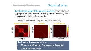 MCB 182 Lecture 12.7 - More on detecting, visualizing + correcting for population structure in GWAS